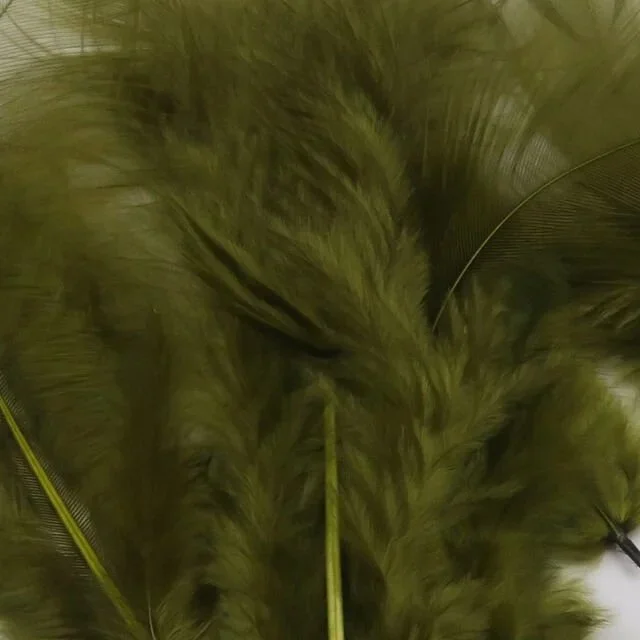 olive.jpg