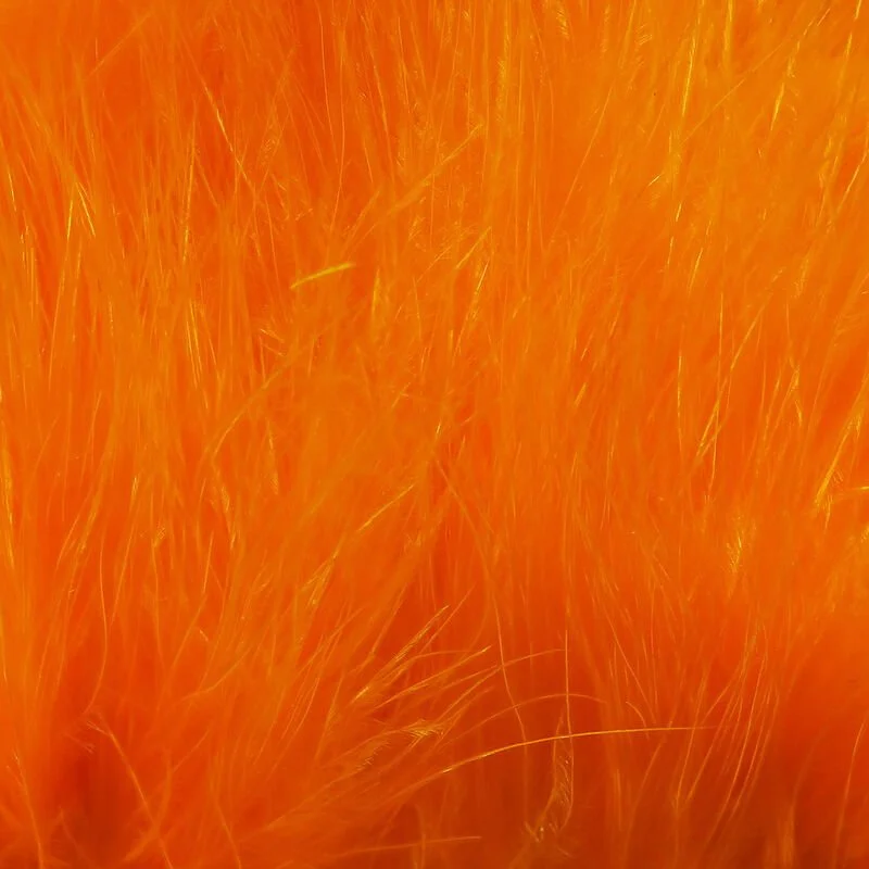 fl orange.jpg