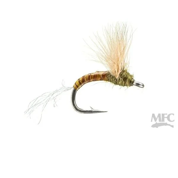 Steve's Sipper Dun - Olive