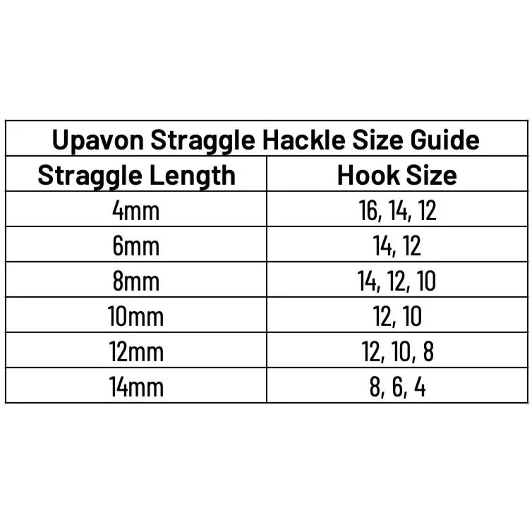 size+chart.jpg