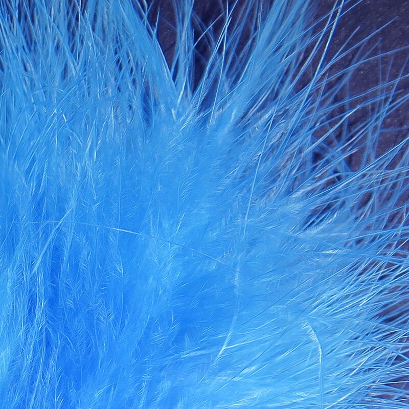 fl blue.jpg
