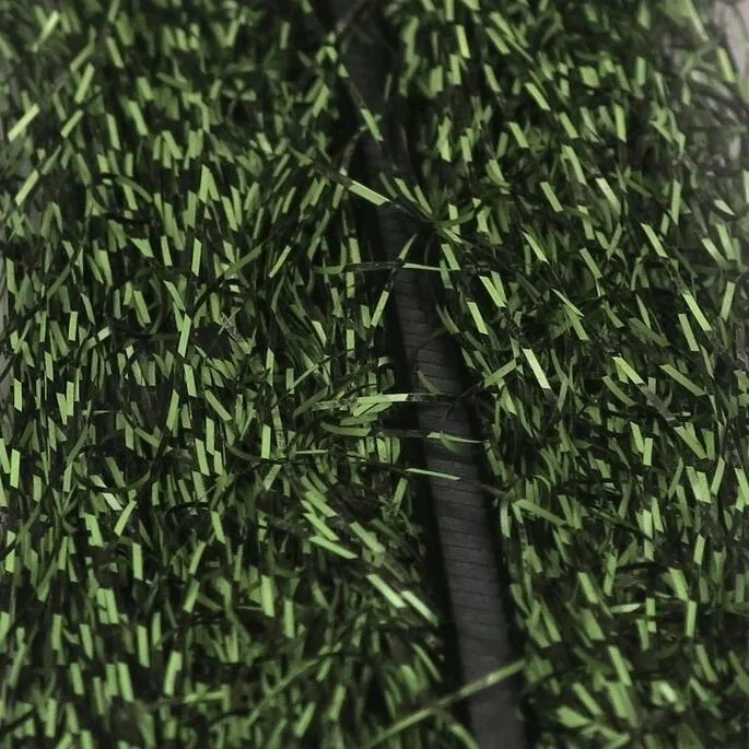 olive.jpg