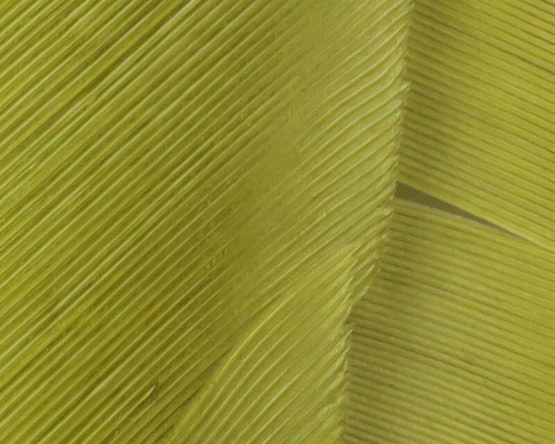 light olive.jpg