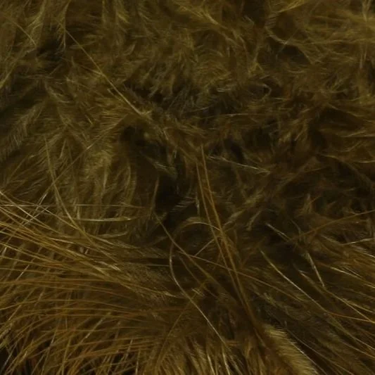 dark+brown+olive.jpg