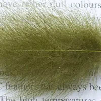 olive.jpg