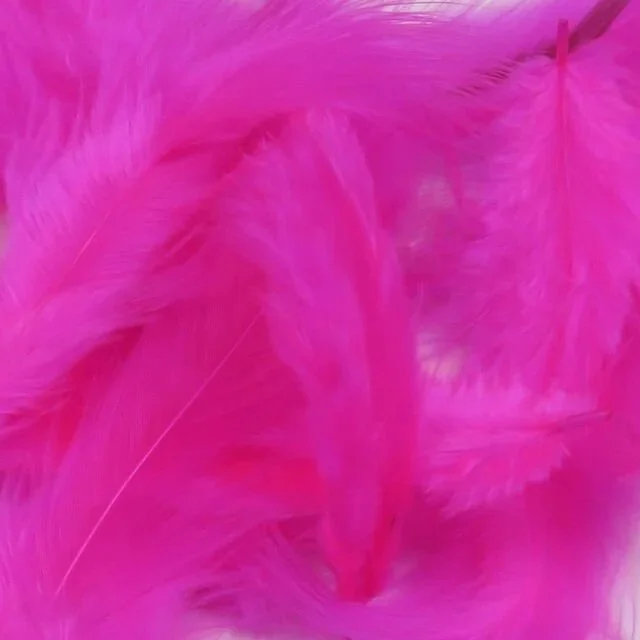 fl+fuchsia.jpg