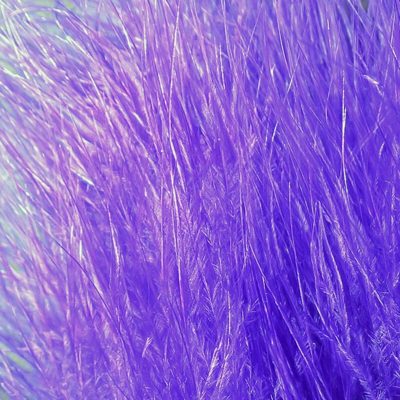 purple.jpg