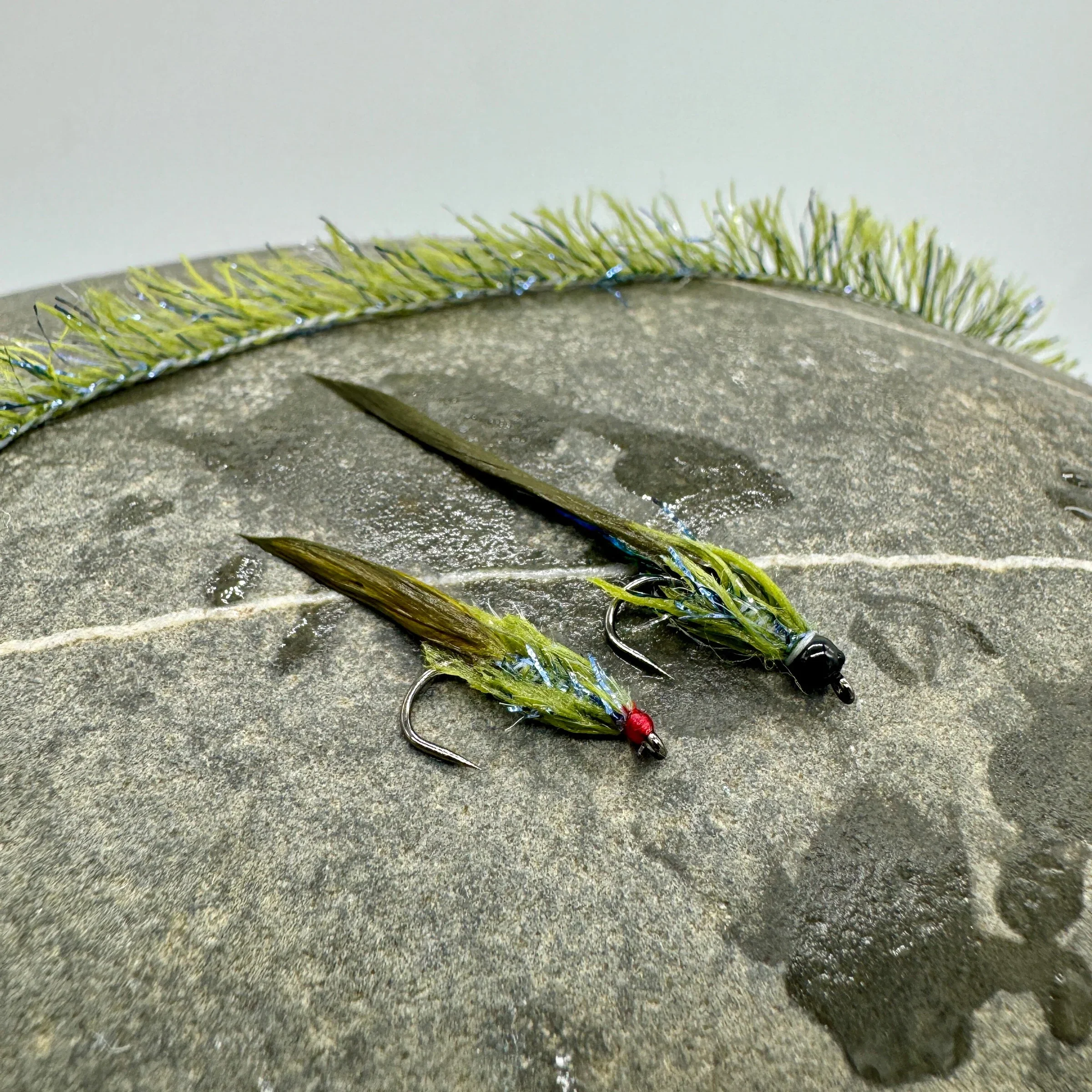 electric blue flash damsel 2.webp