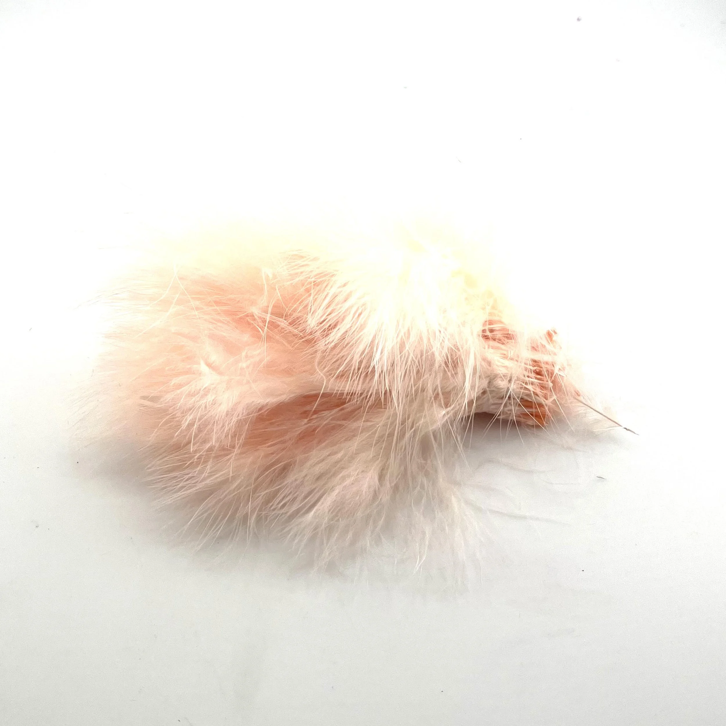 fl creamsicle orange.jpg