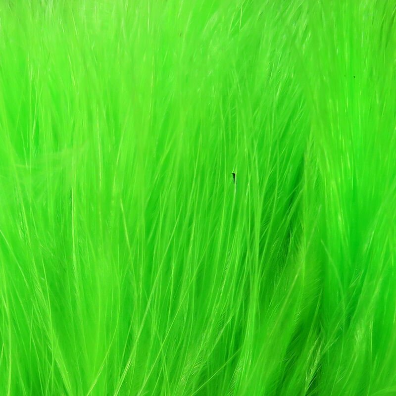 fl green.jpg