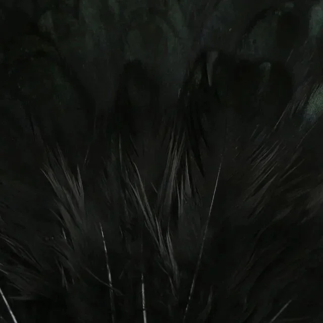 black.jpg