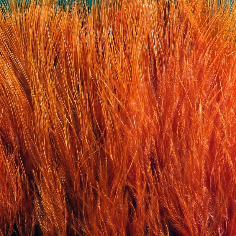 rusty brown.jpg
