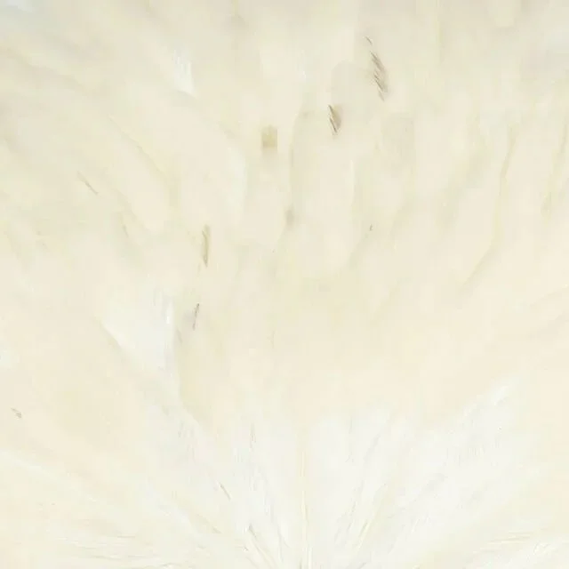 cream.jpg