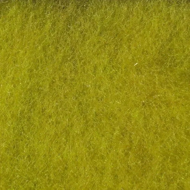 golden+olive.jpg