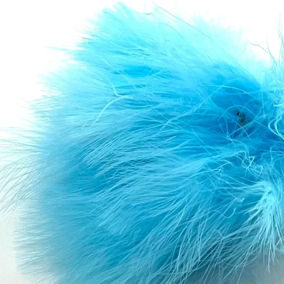 fl+silver+doc+blue.jpg