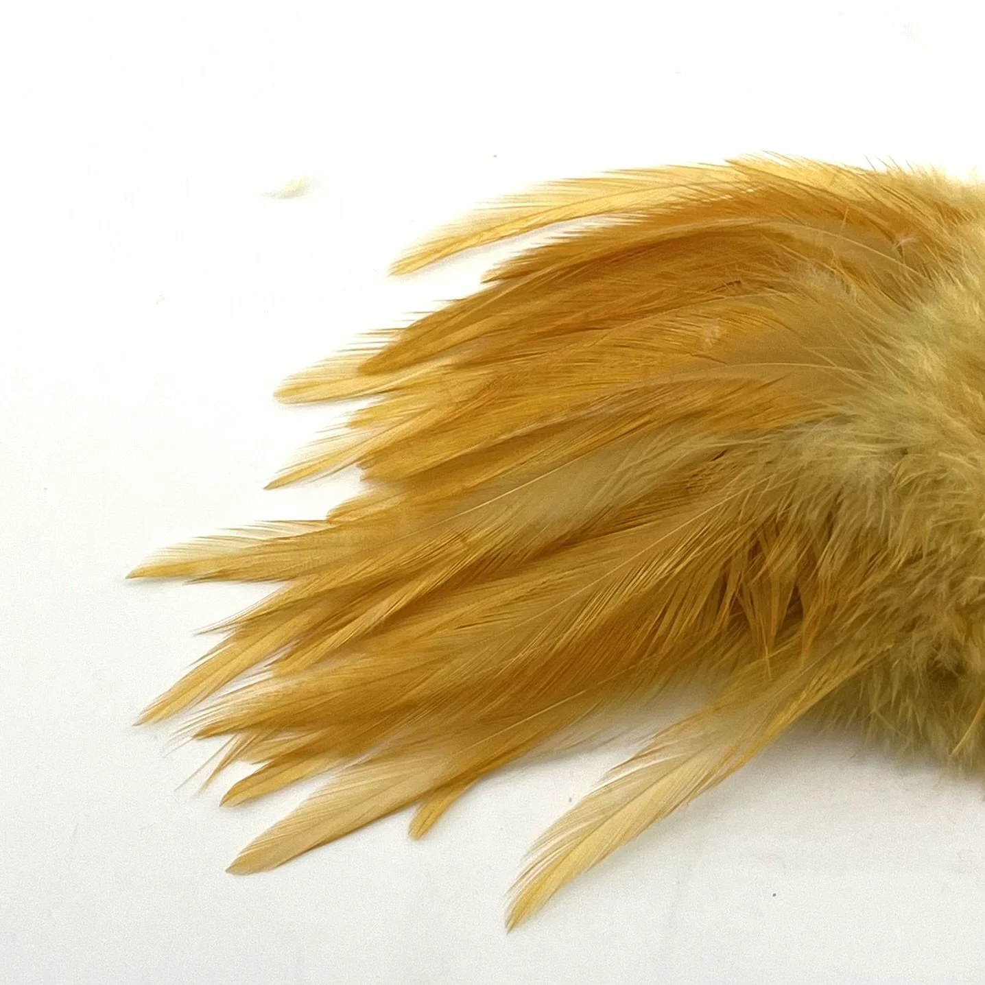 Burnished golden tan.jpeg