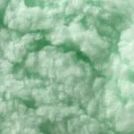 fl spearmint.jpg