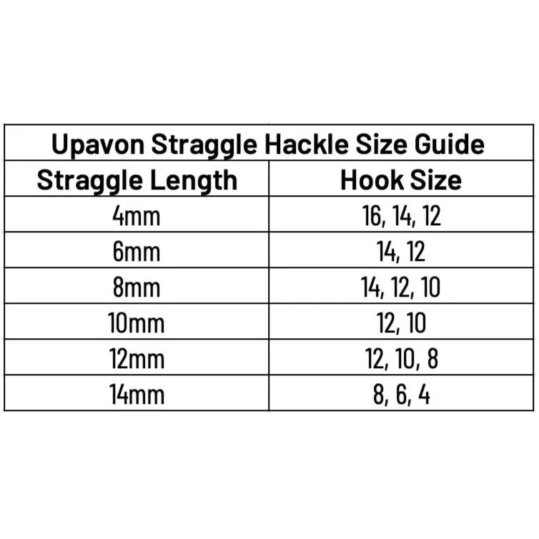 size+chart.jpg