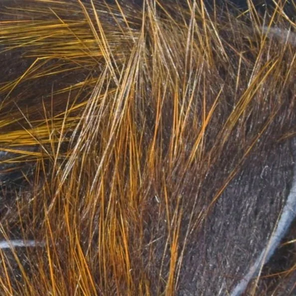 black+orange.jpg