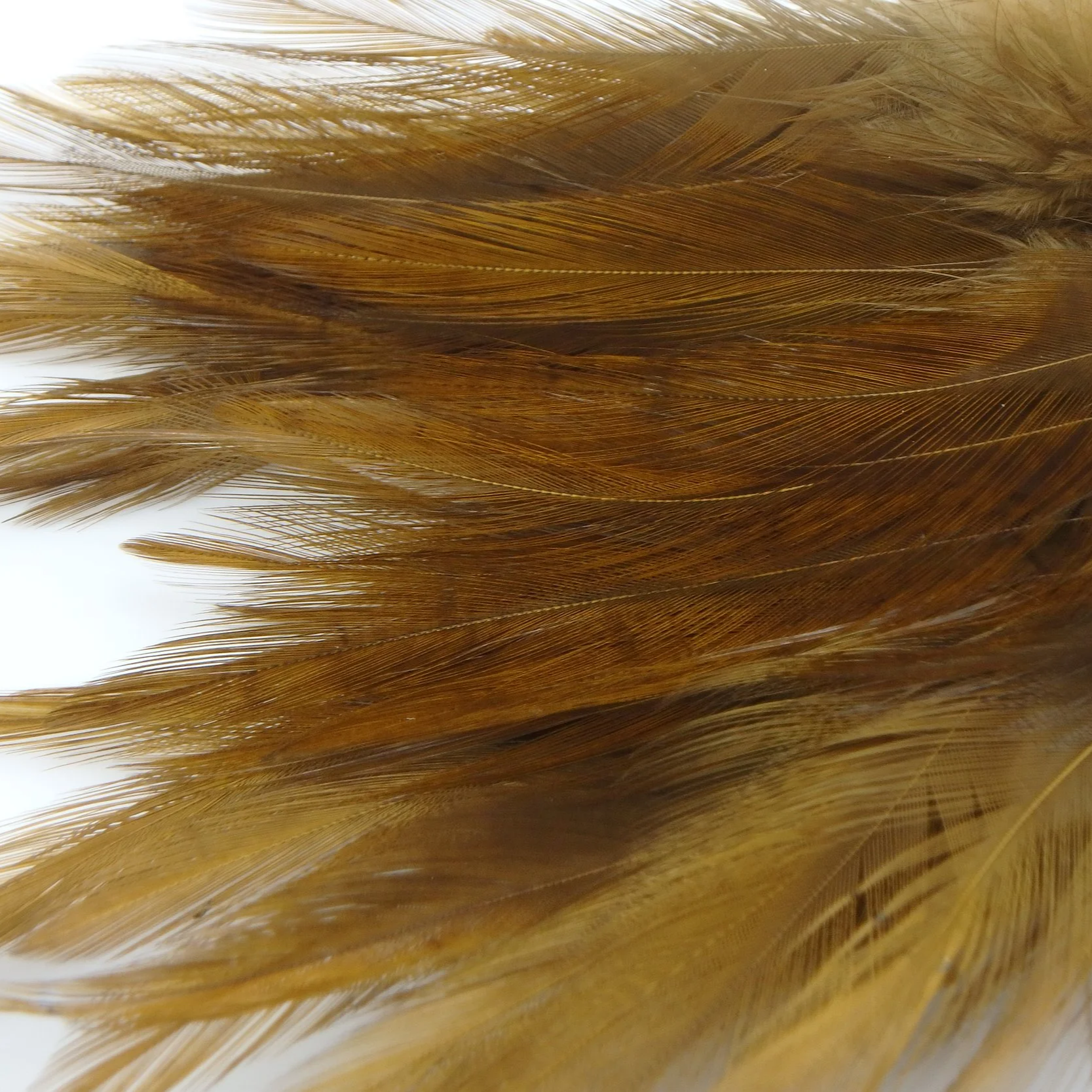 P4281412.png