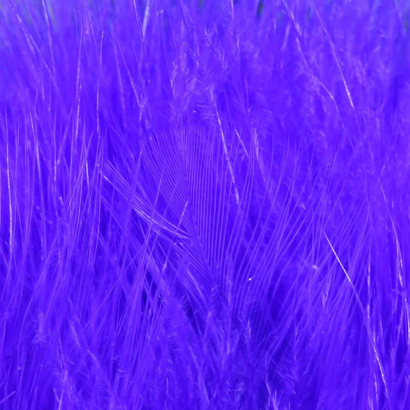 bright purple.jpg