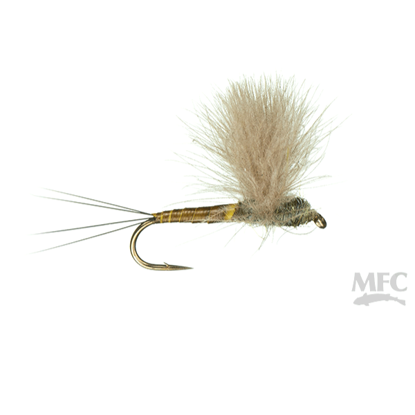 Quill Body CDC Comparadun - BWO