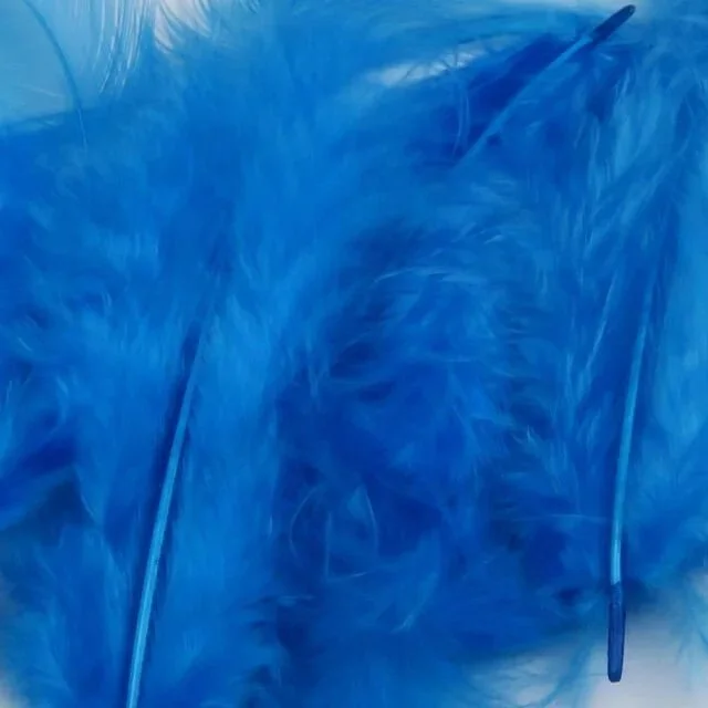 kingfisher+blue.jpg