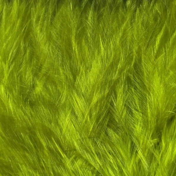 yellow+olive.jpg