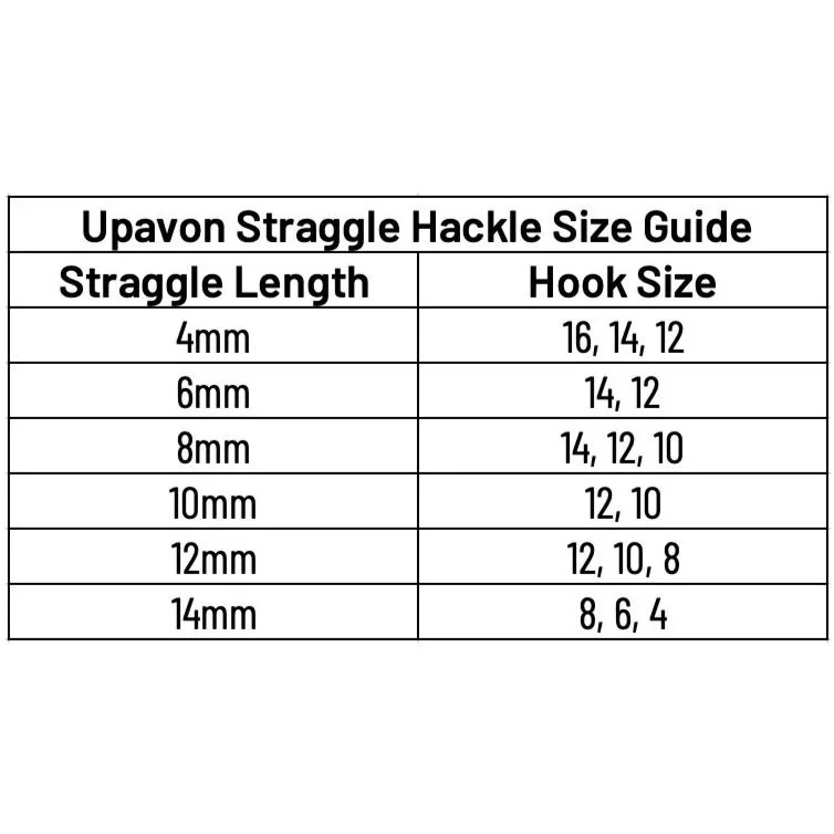 size+chart.jpg