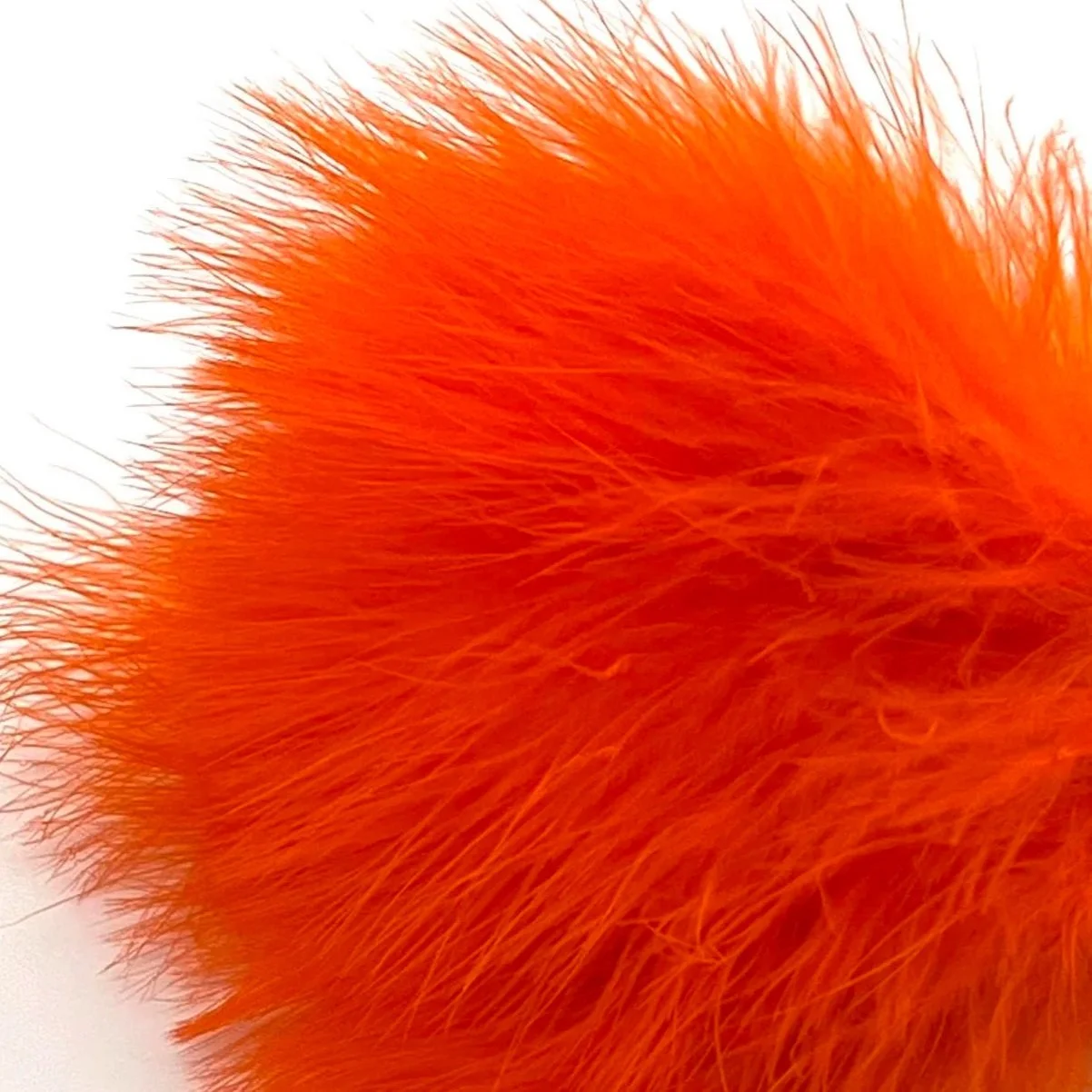 hot+orange.jpg