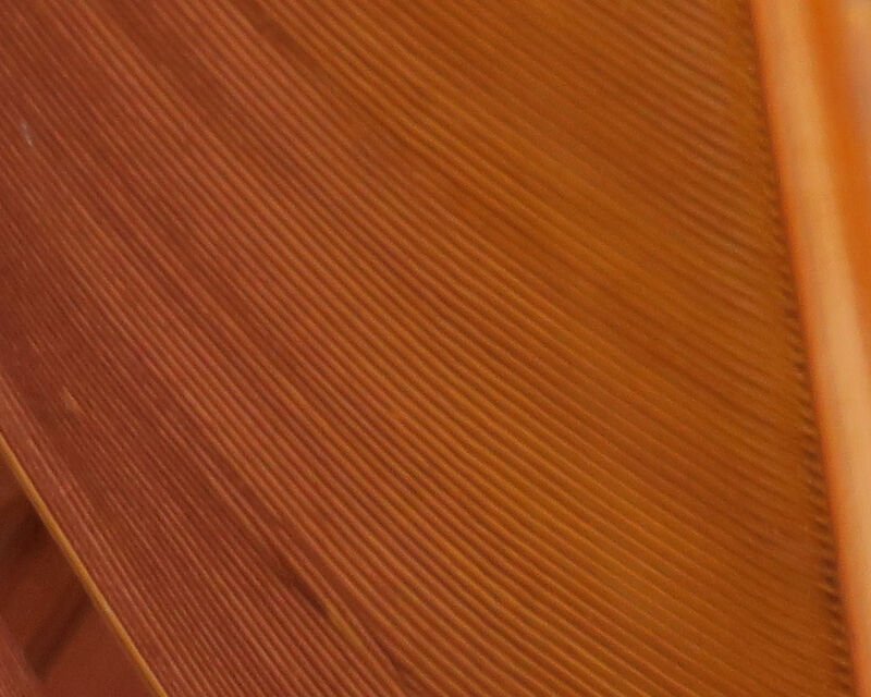 rusty spinner.jpg