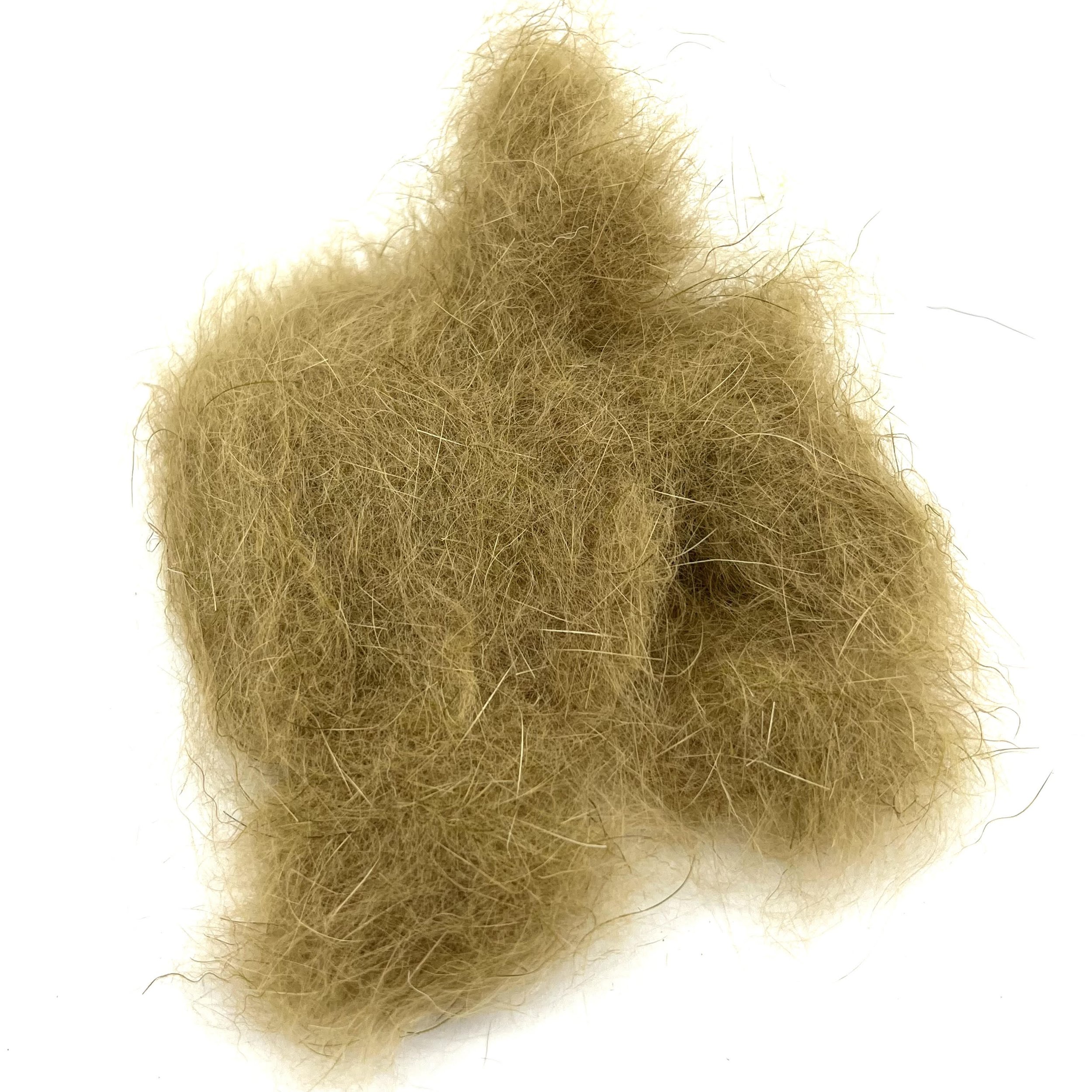Callibaetis.jpg