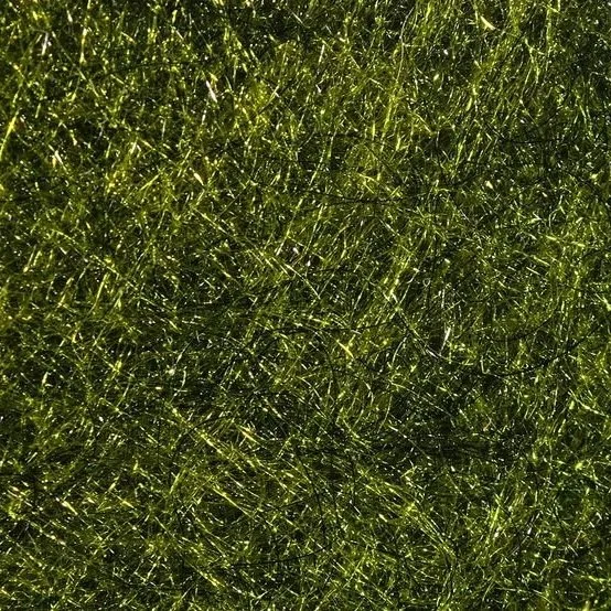 olive+black+leech.jpg