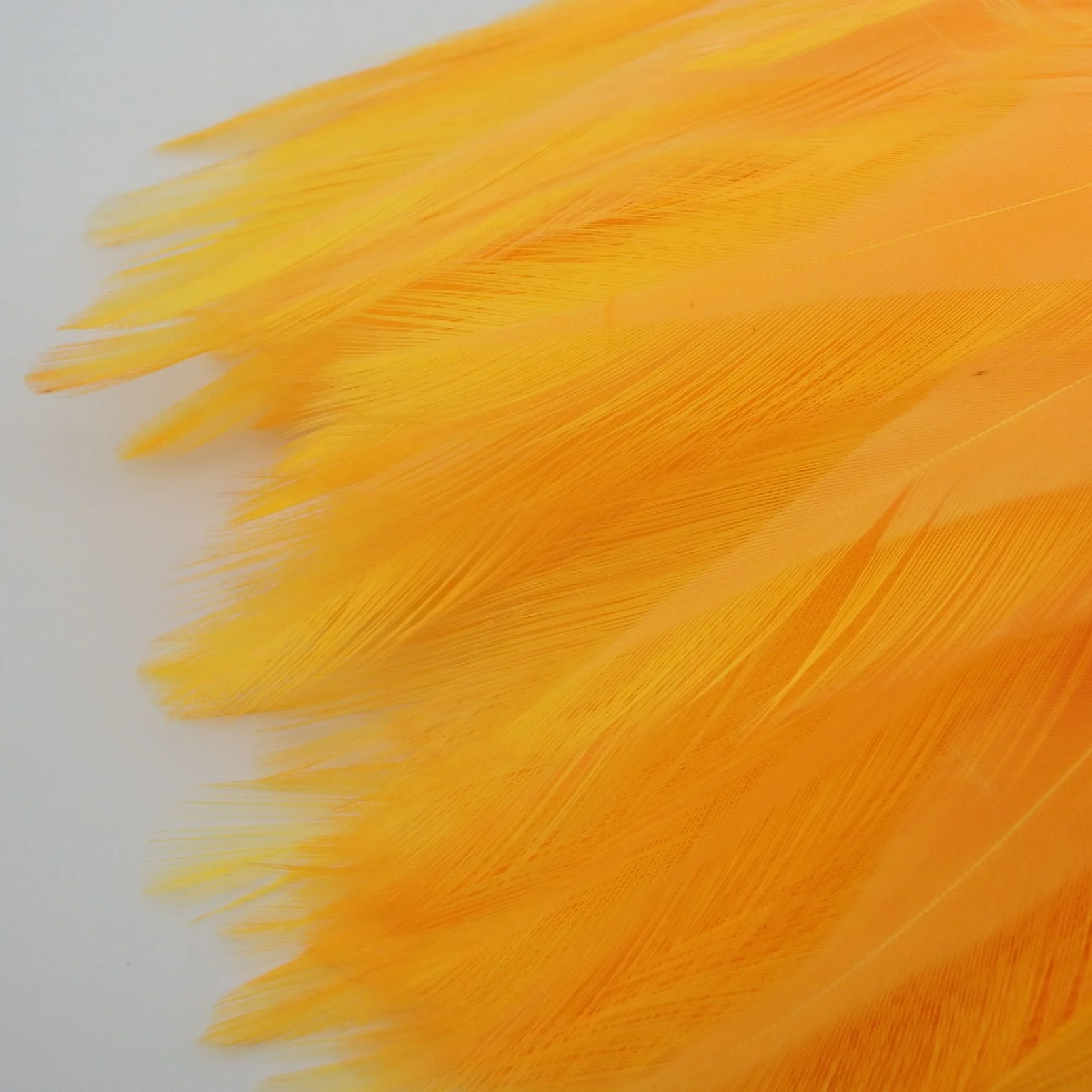 P4281403.png