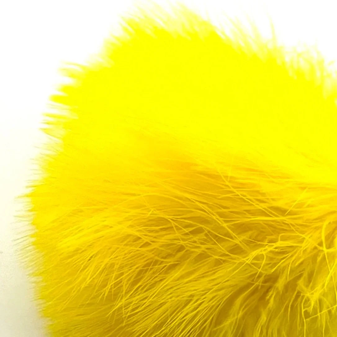 lemon+yellow.jpg