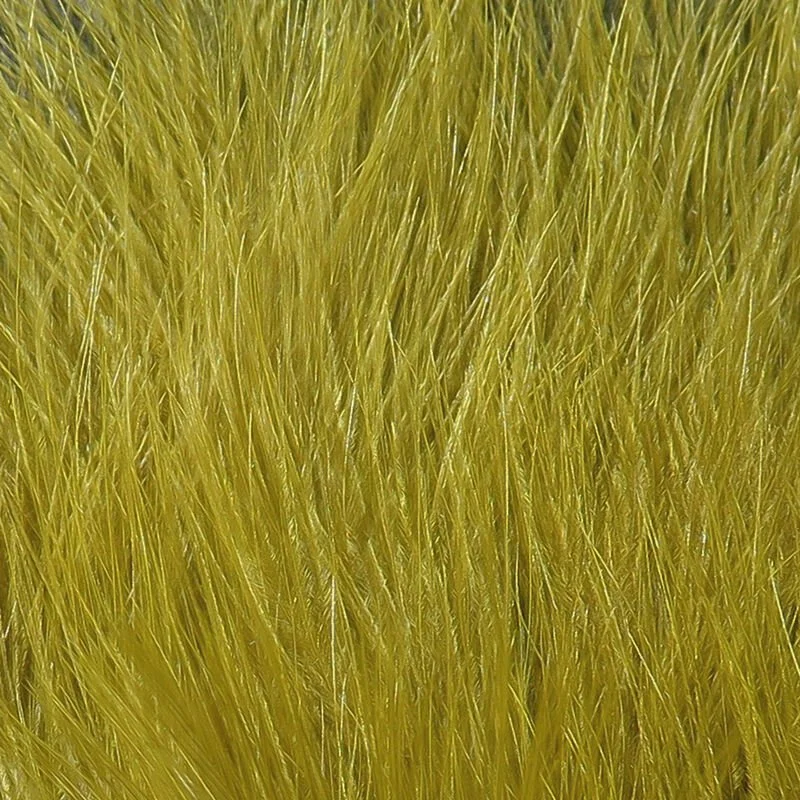 olive brown.jpg