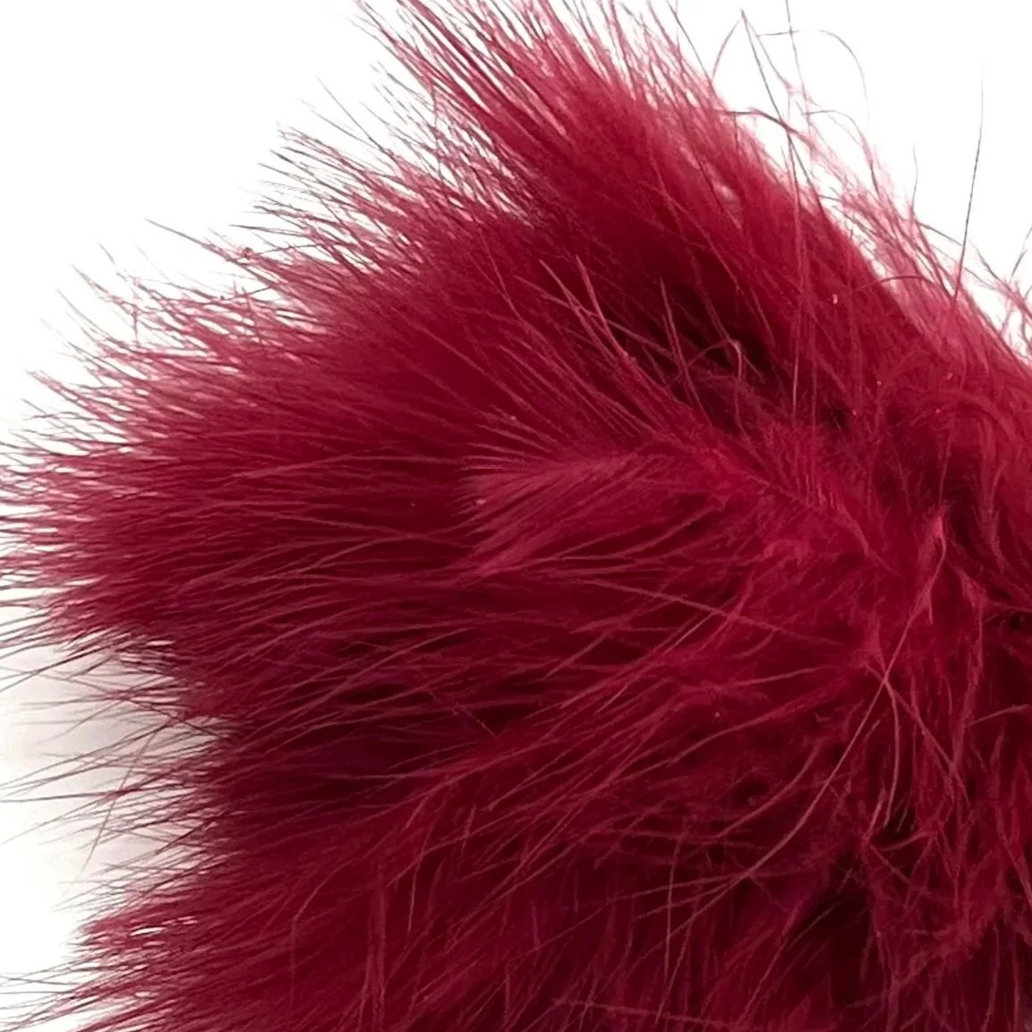 maroon.jpg