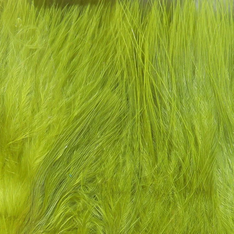 gold olive.jpg
