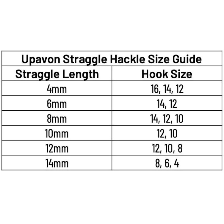 size+chart.jpg