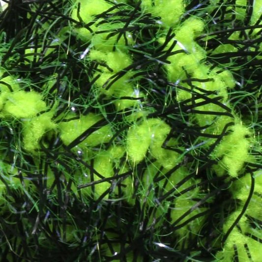 fl+chartreuse.jpg