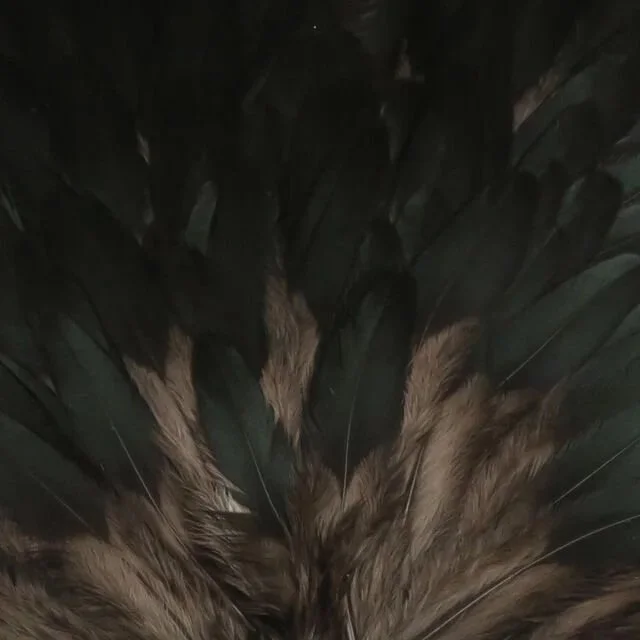 black.jpg