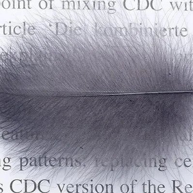 grey+dun.jpg