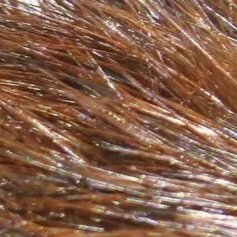 dark+brown.jpg