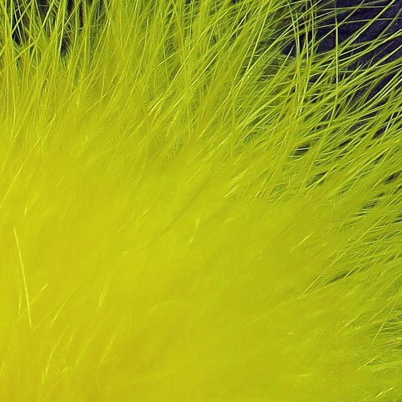 yellow.jpg