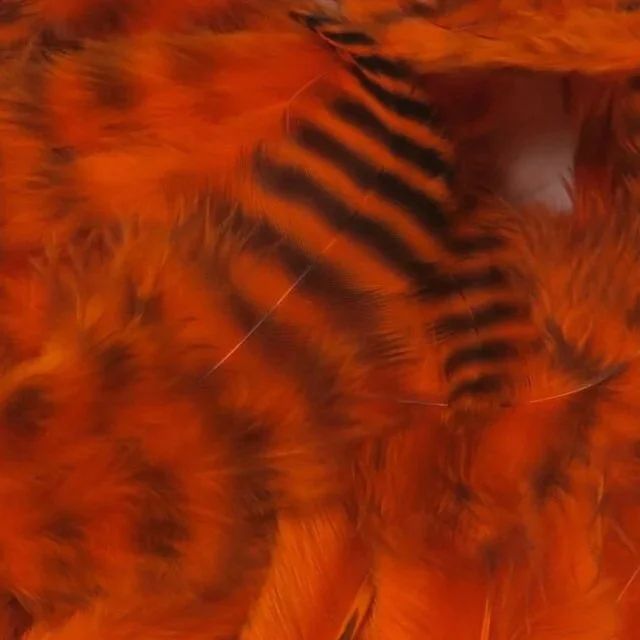 hot+orange.jpg