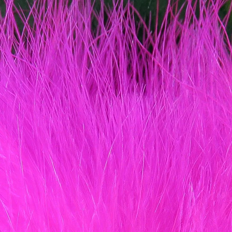 fl fucbsia.jpg