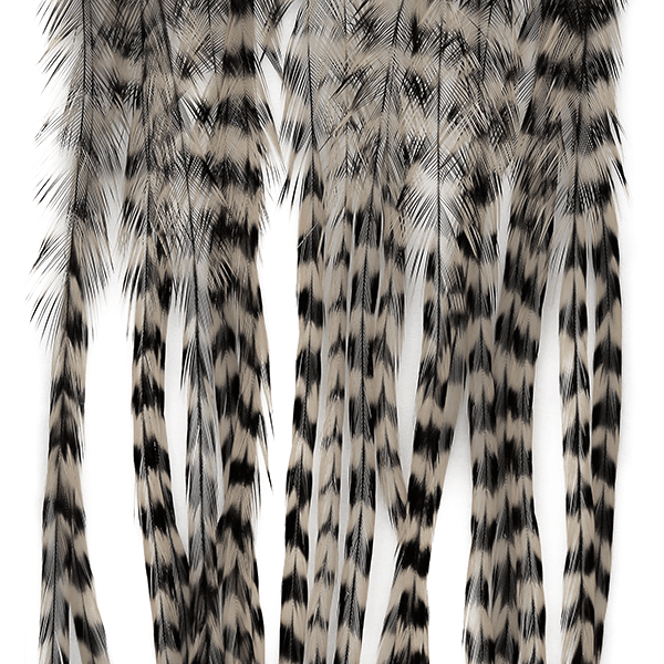 Grizzly Medium Dun.png