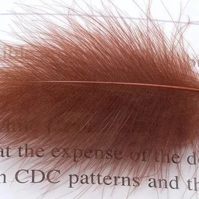 Fiery+brown.jpg