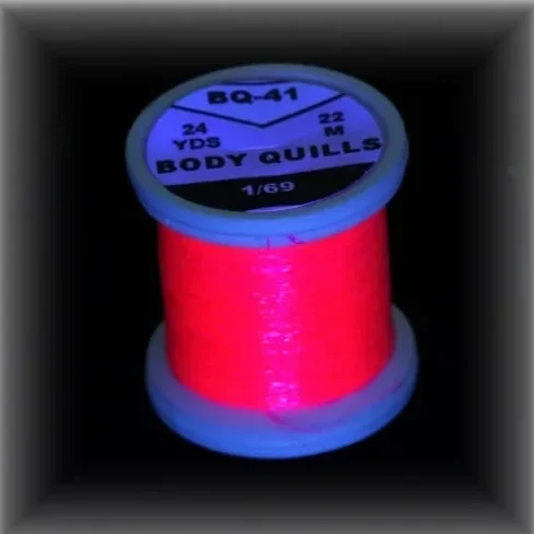 41.webp