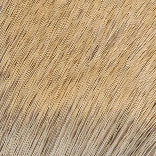 medium.jpg